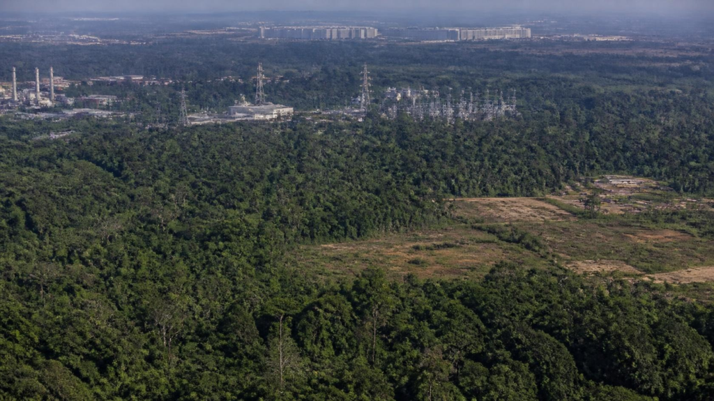 AI environmental impact and deforestation